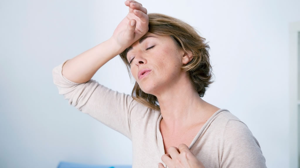 Menopausia